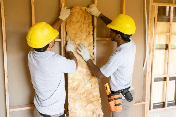 Professional Insulation in West Lake Hills, TX